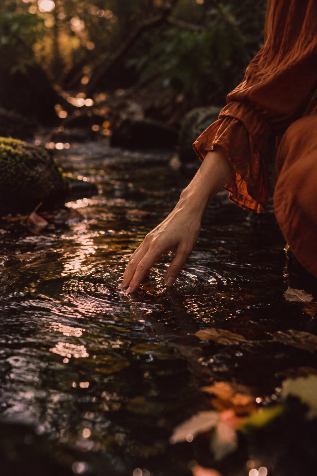 A hand touching the surface of a forest stream